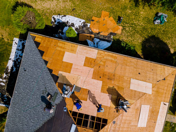 Best Roof Restoration Services  in Bay City, TX